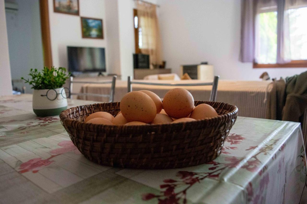 Efi'S Guest House Áyios Dhimítrios Dış mekan fotoğraf