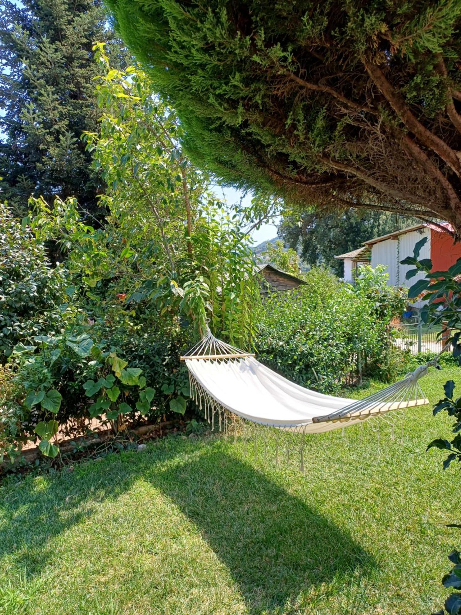 Efi'S Guest House Áyios Dhimítrios Dış mekan fotoğraf